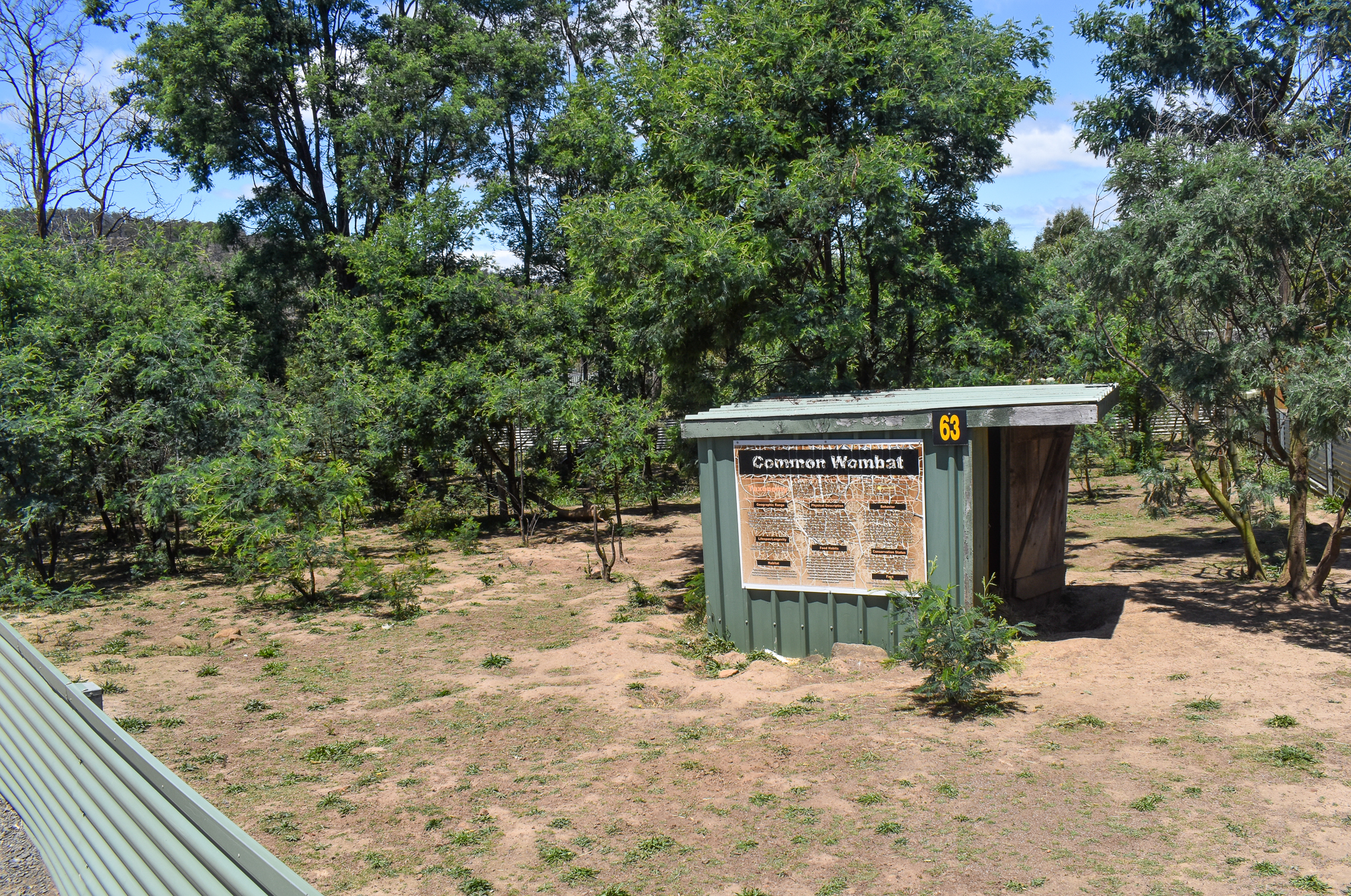 Wombat enclosure