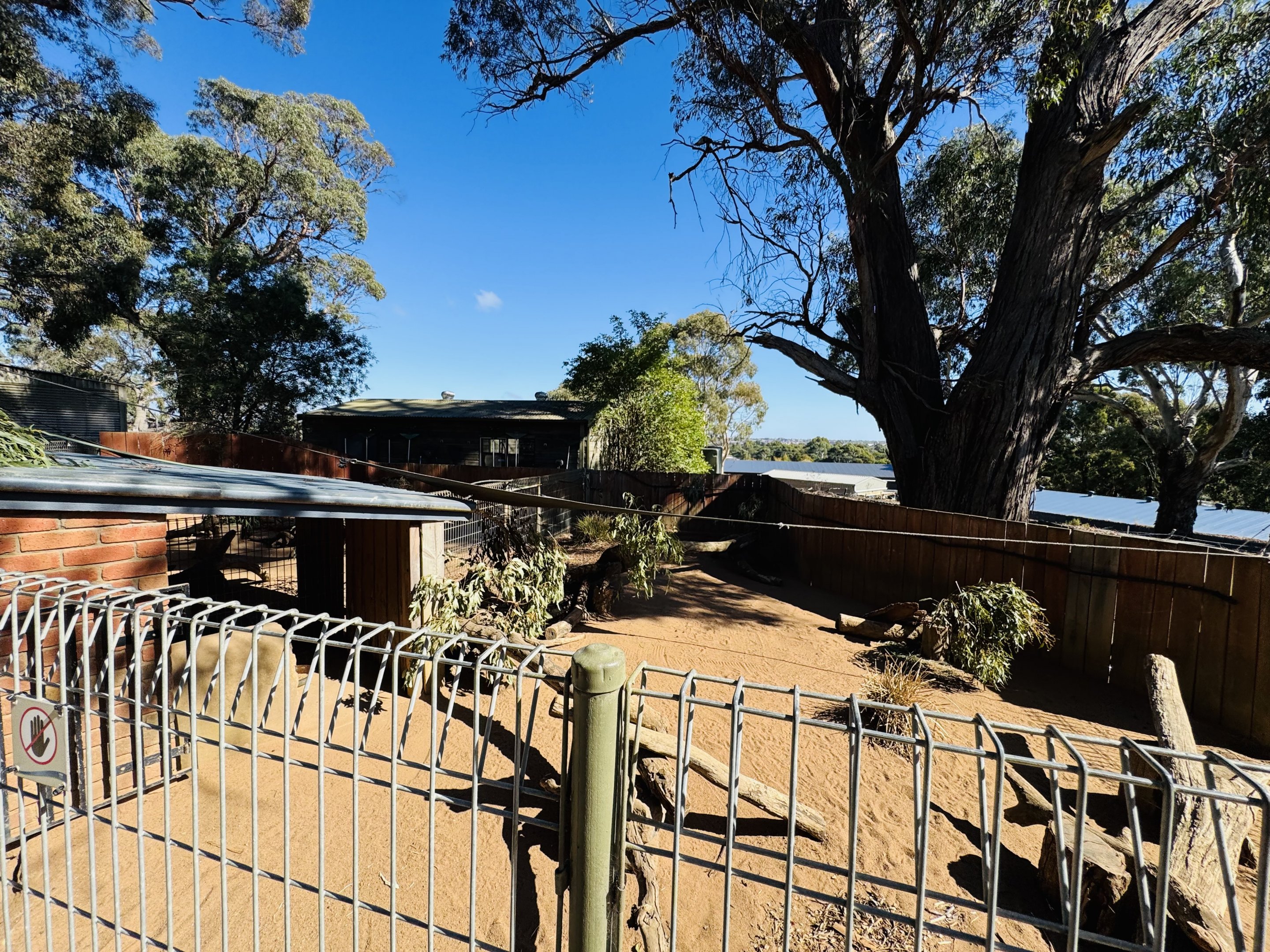 Wombat enclosure