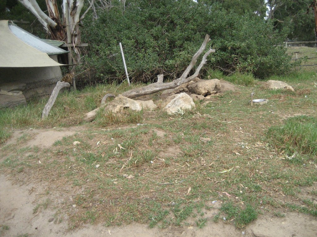 Wombat enclosure