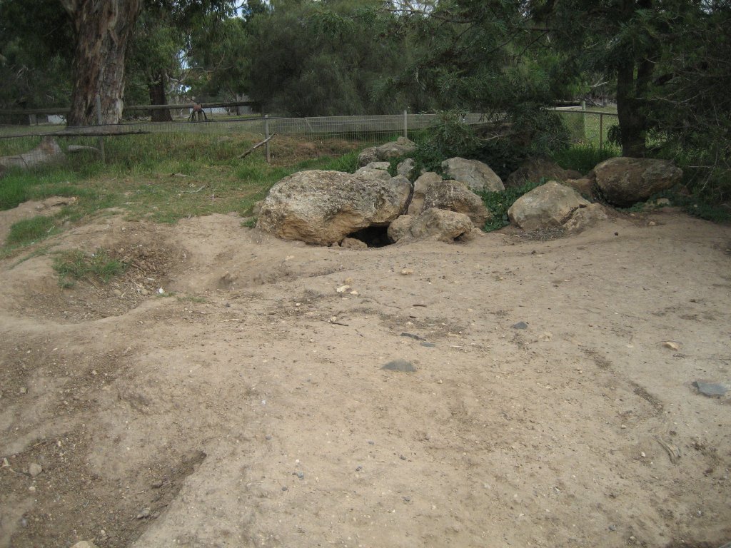 Wombat enclosure