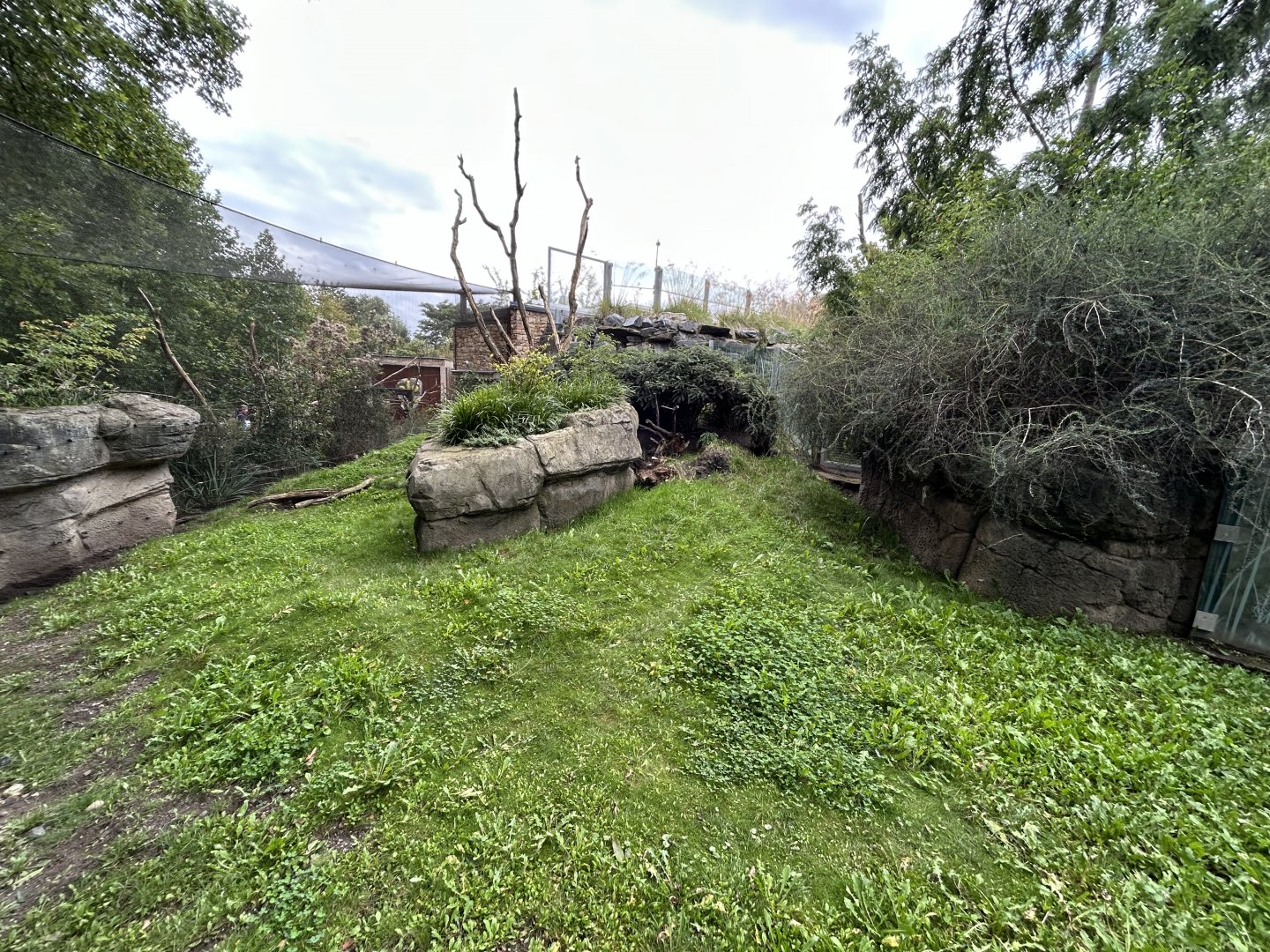Wombat Exhibit - Darwin Crater