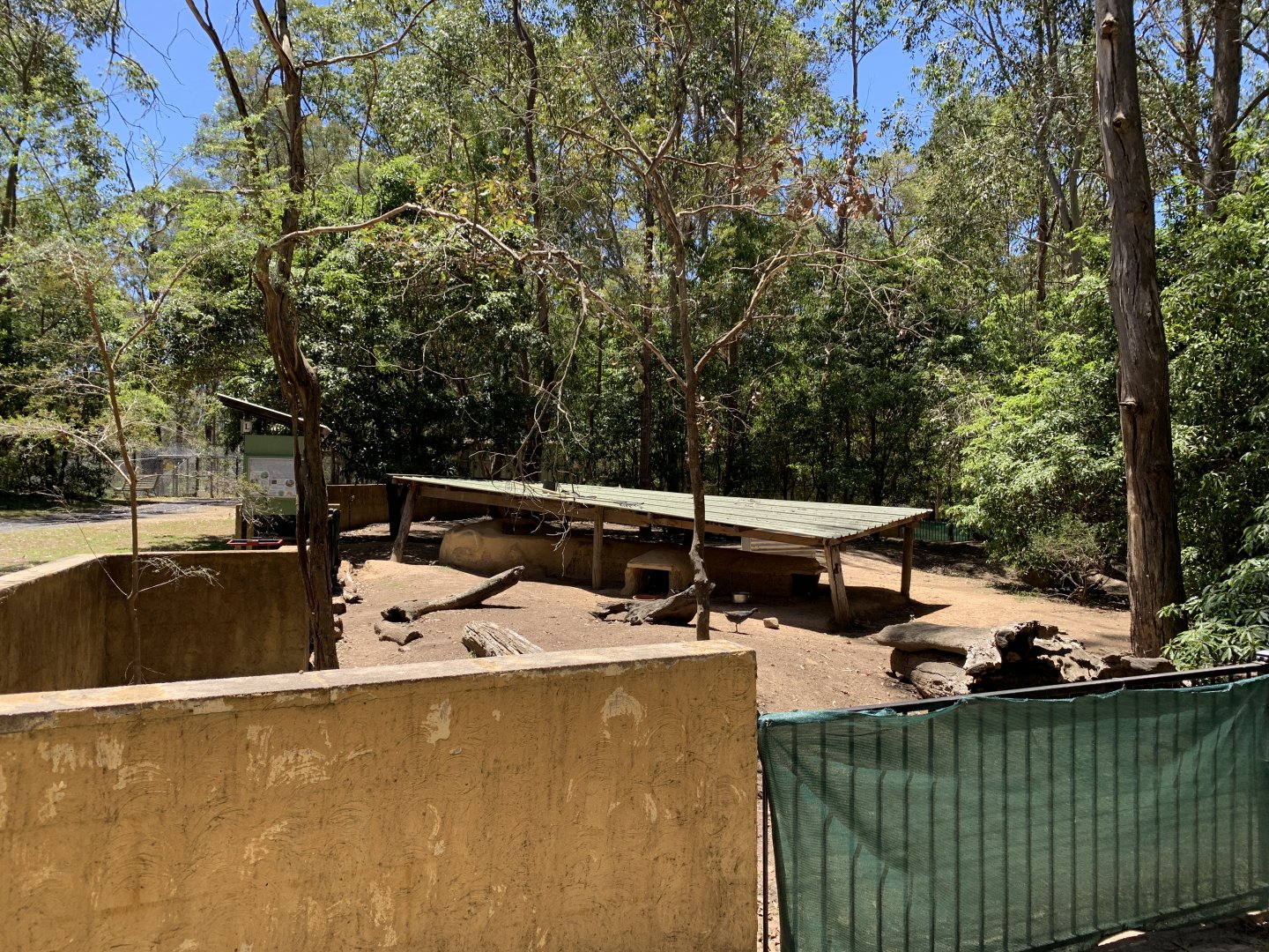Wombat Exhibit (Potoroo Palace)