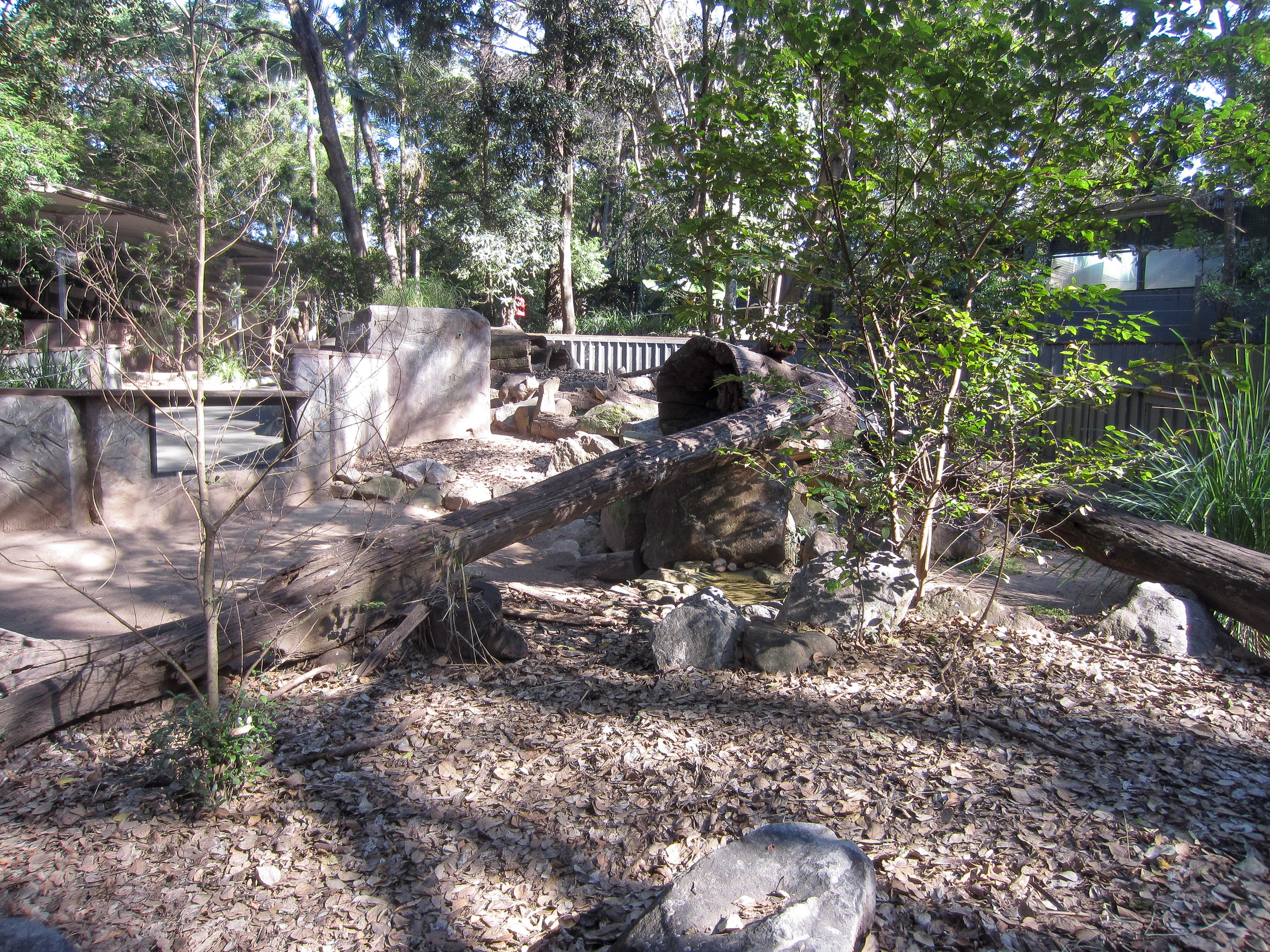 Wombat Exhibit