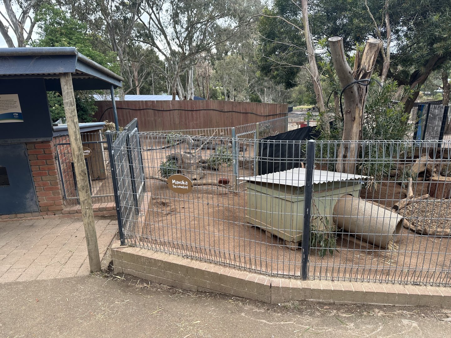 Wombat Exhibit