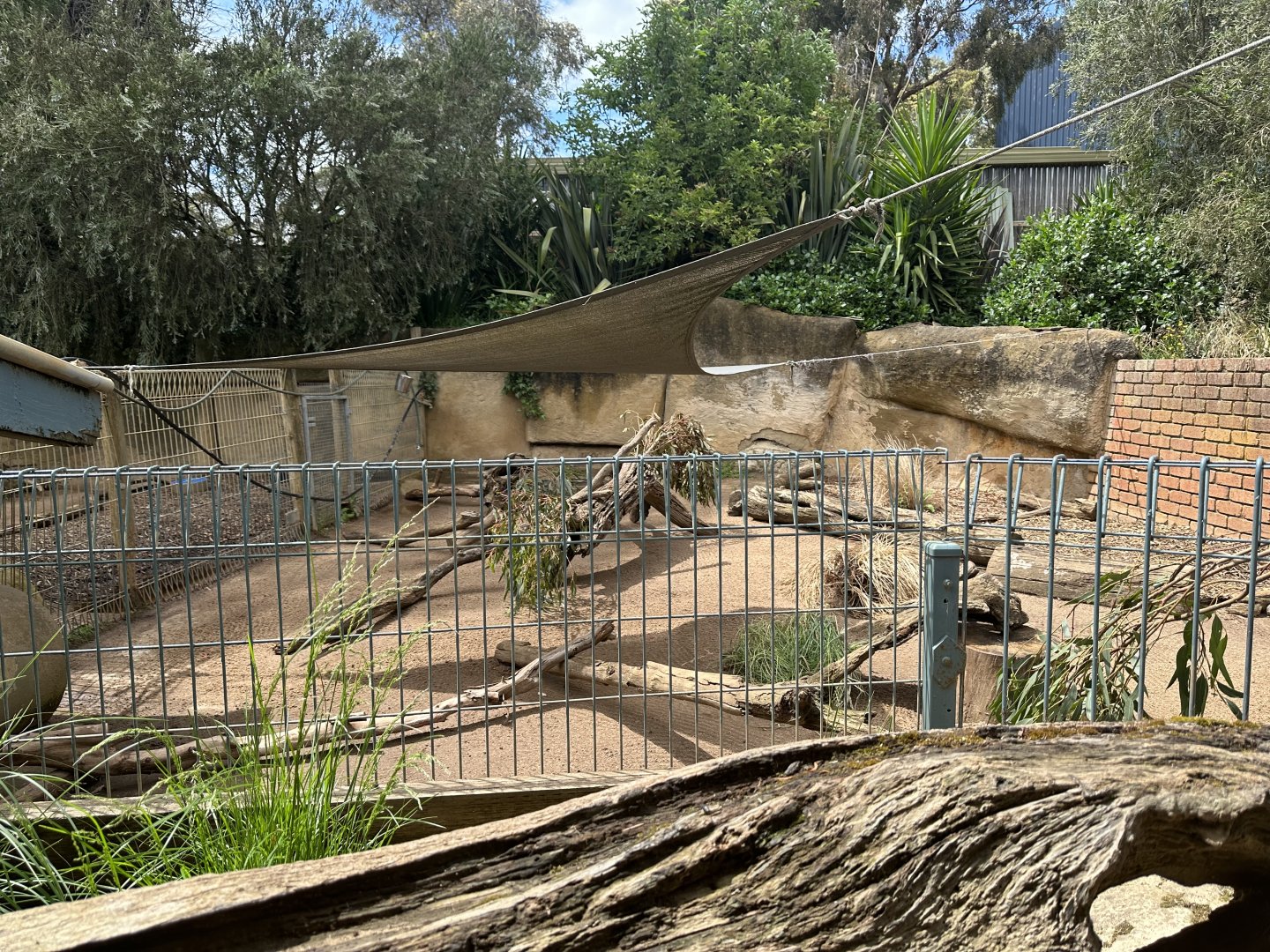 Wombat Exhibit