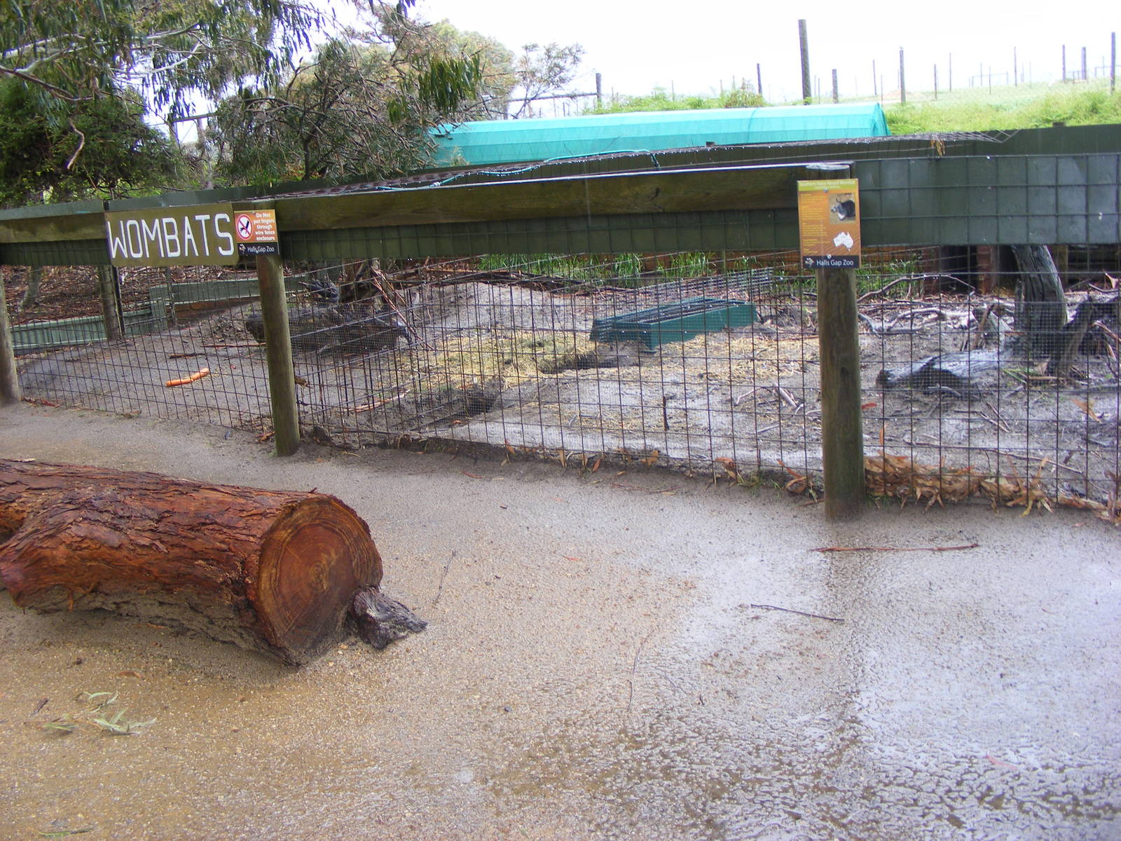 Wombat Exhibits - September, 2009