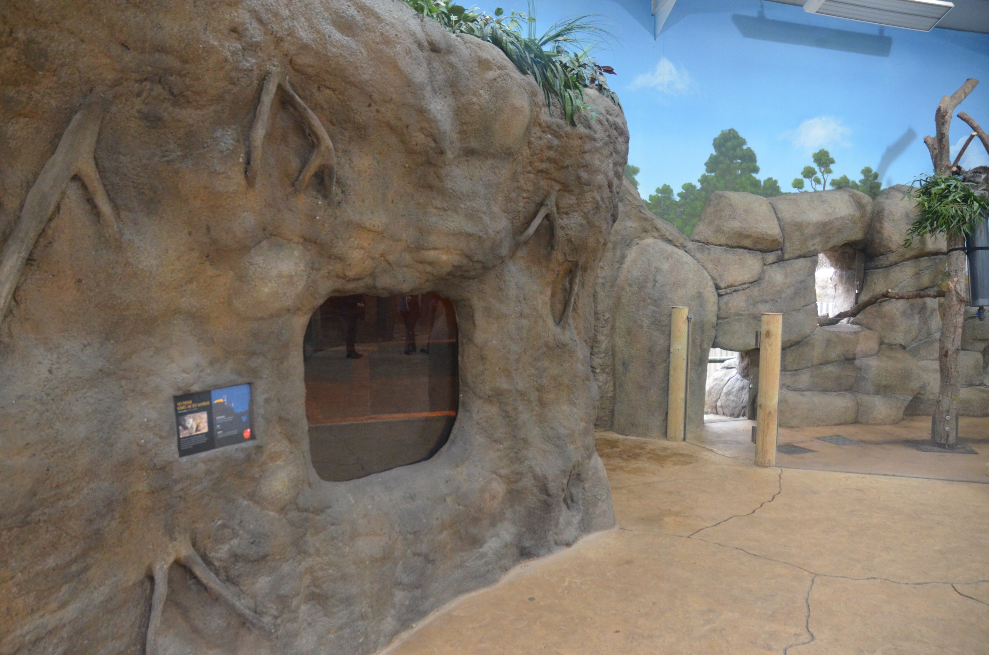Wombat Indoor Enclosure at Longleat, 03/11/19
