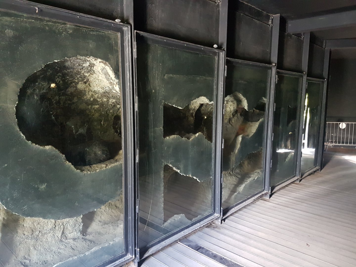 Wombat indoor-enclosure