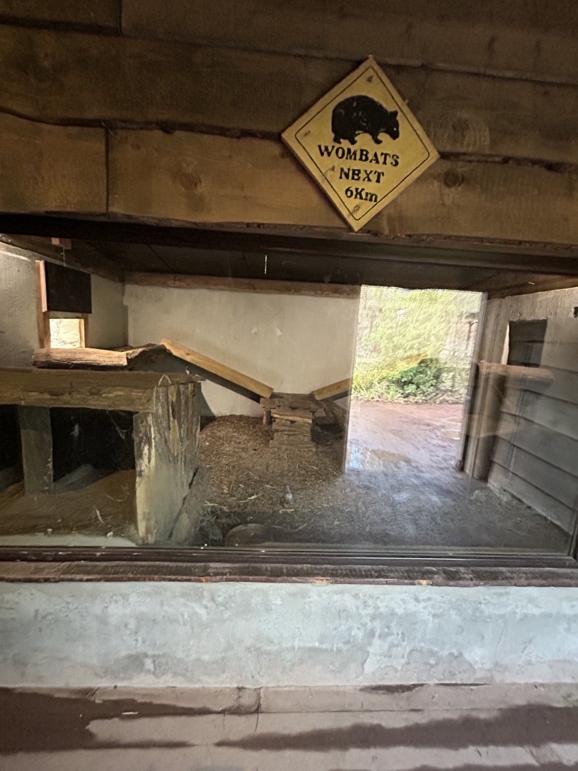 Wombat indoor exhibit