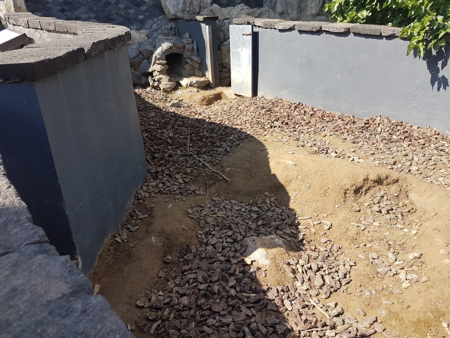 Wombat out-door-enclosure