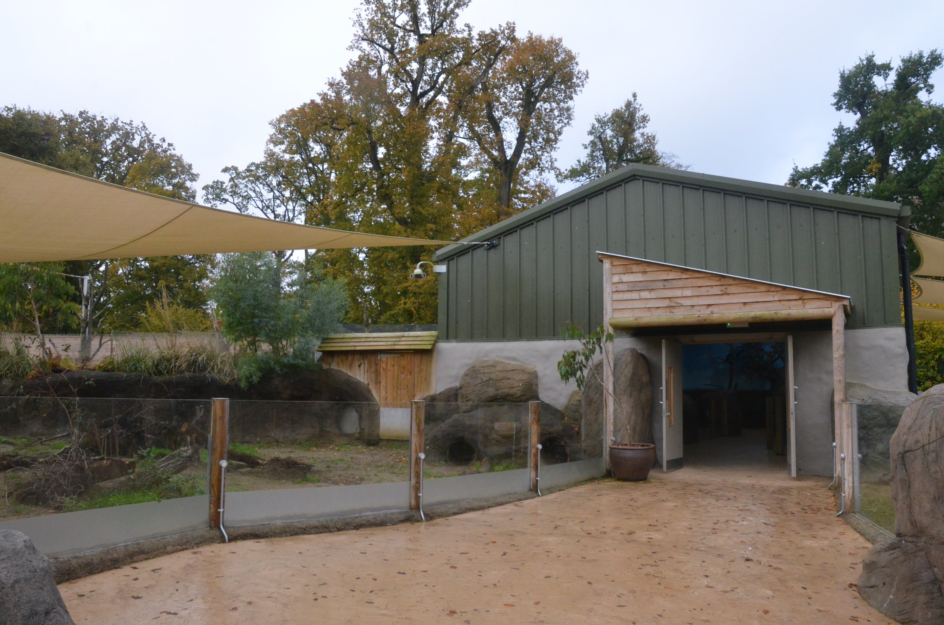 Wombat Outdoor Enclosure at Longleat, 03/11/19