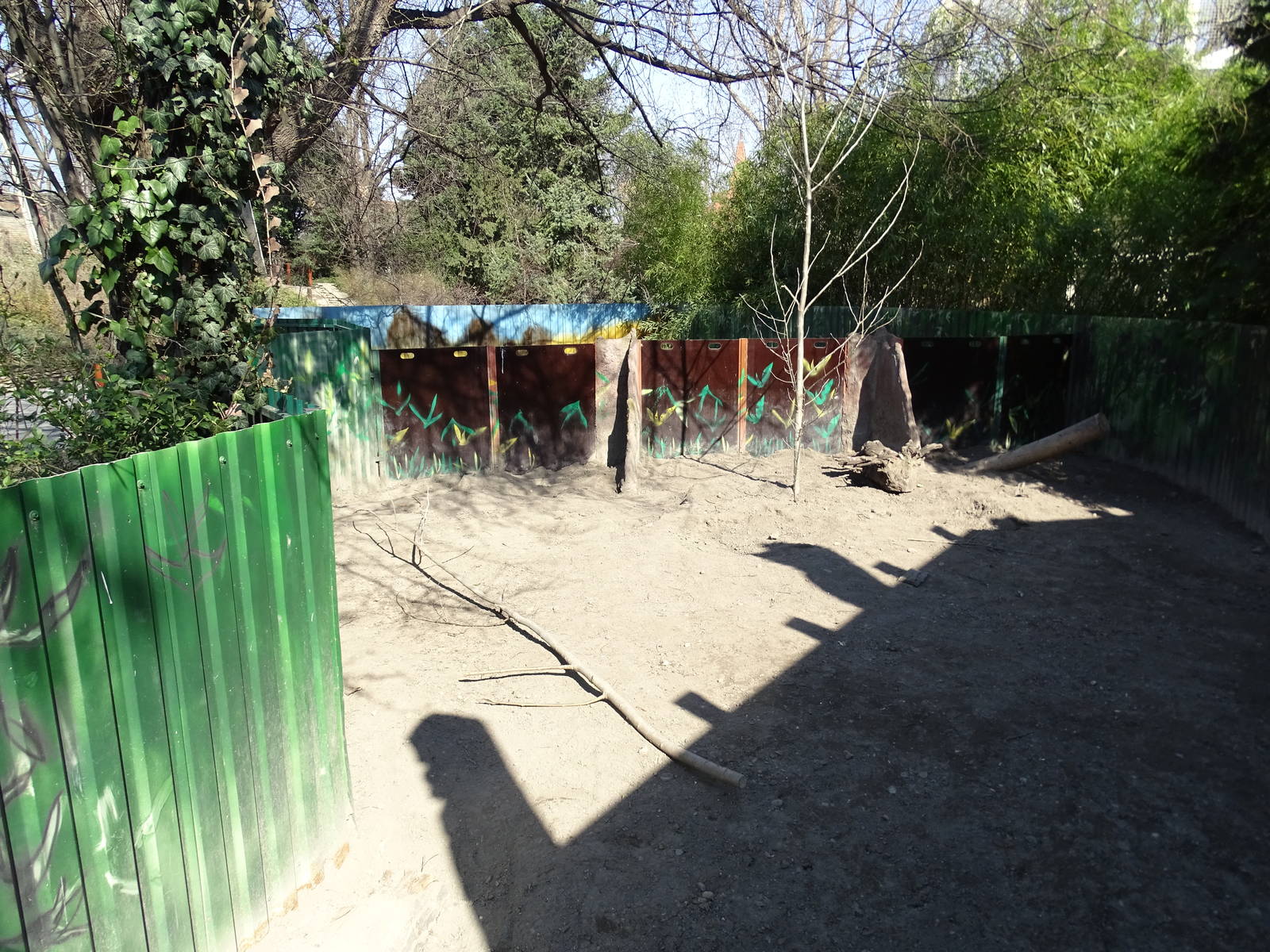 Wombat outdoors enclosure
