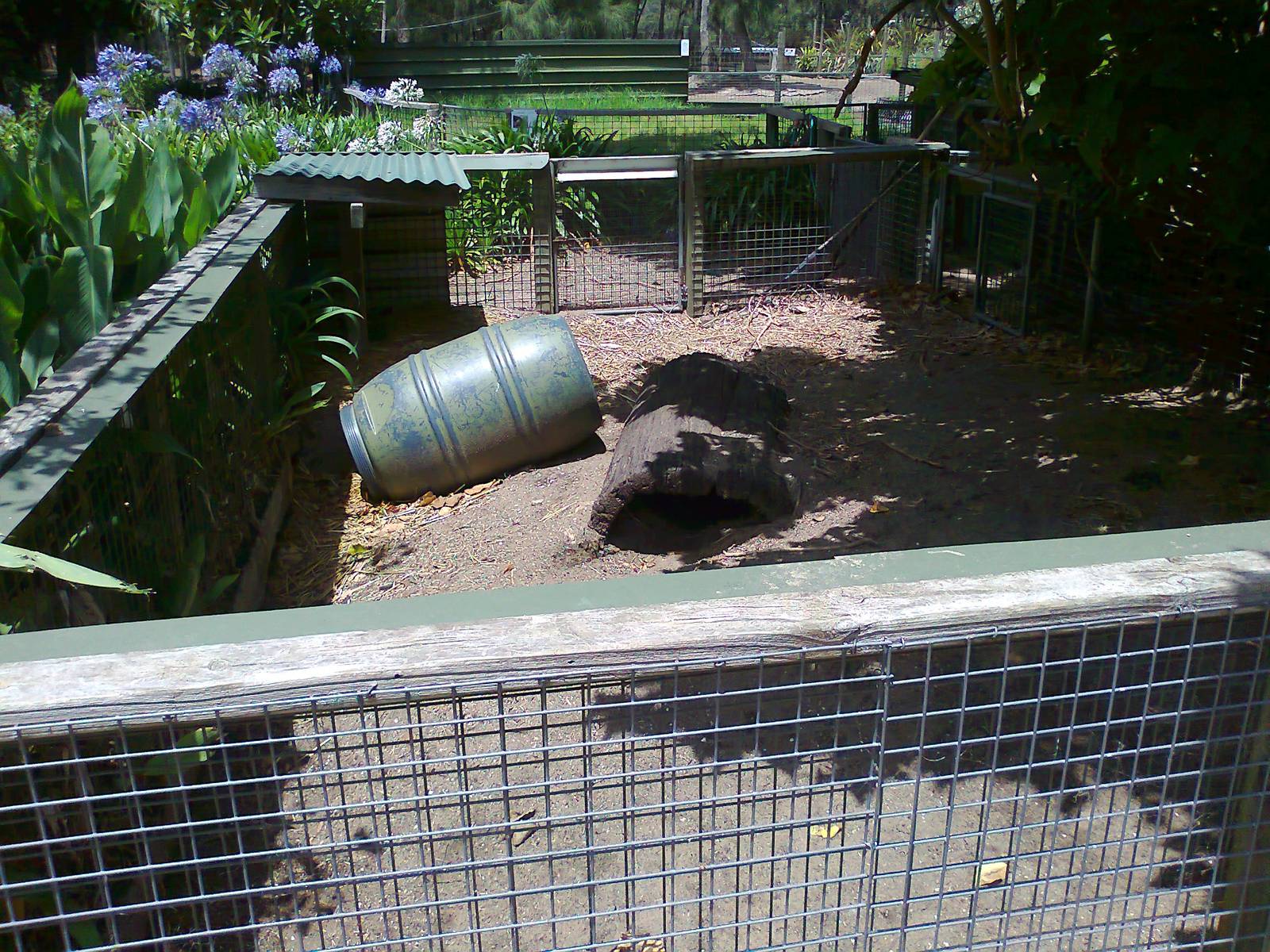 Wombat pen