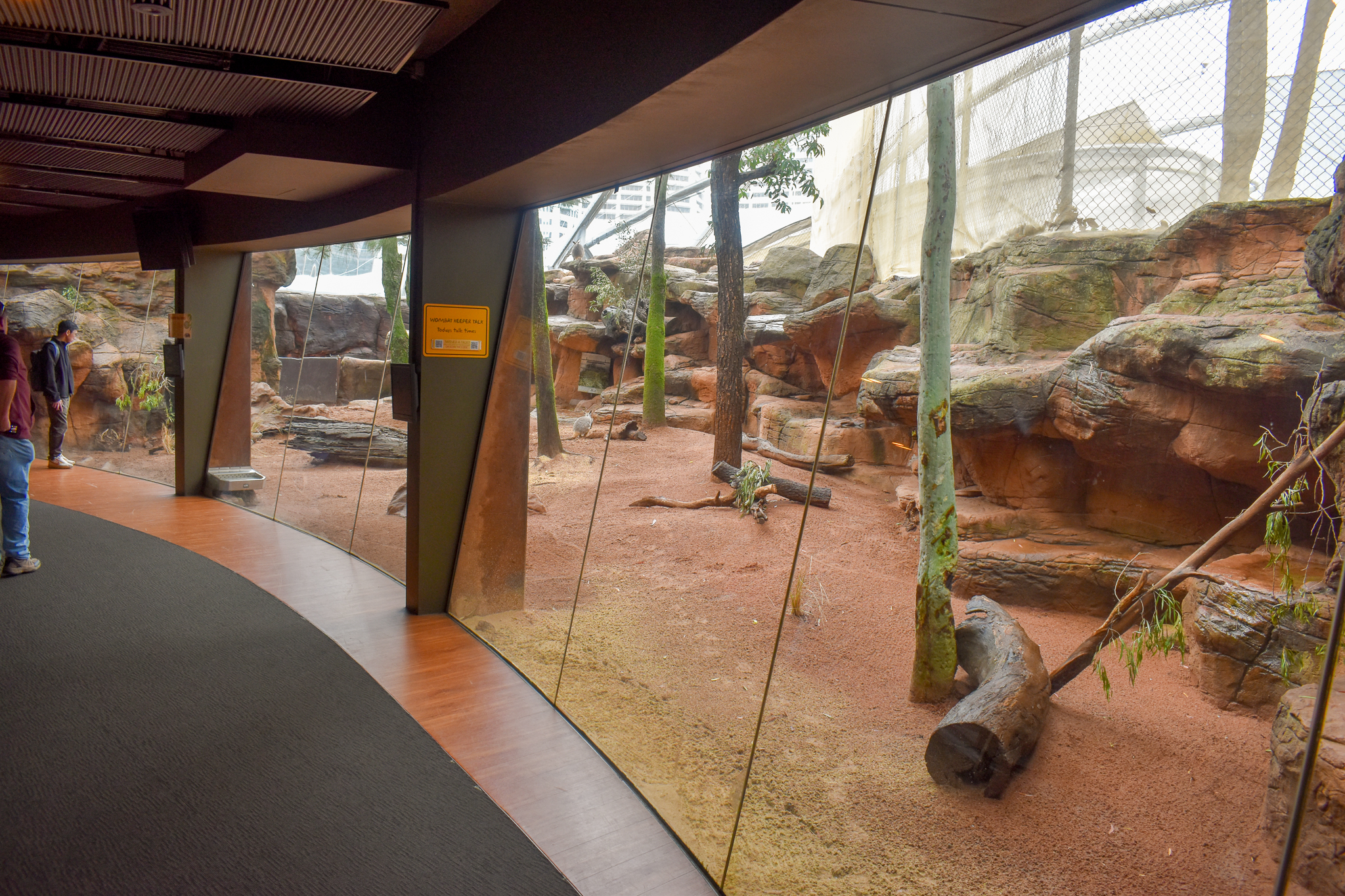Wombat/Rock-Wallaby Enclosure