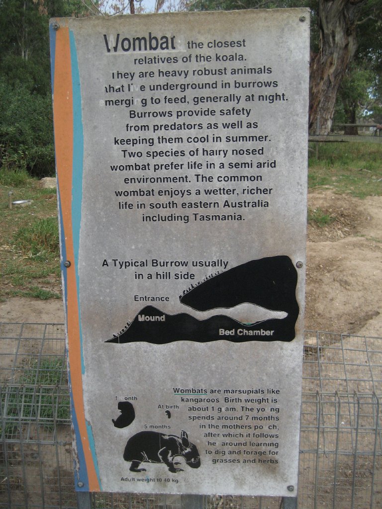 Wombat signage