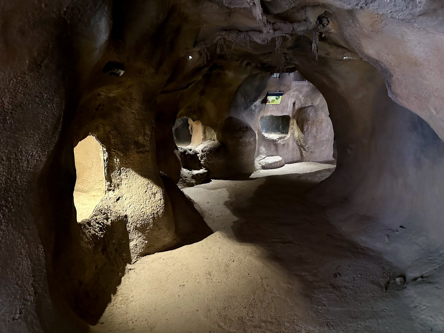 Wombat Viewing Tunnels