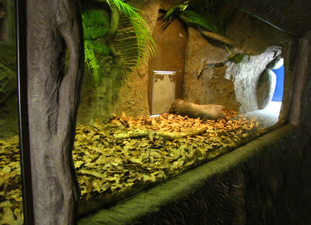 Wombats Enclosure - Aust Zoo Feb 09