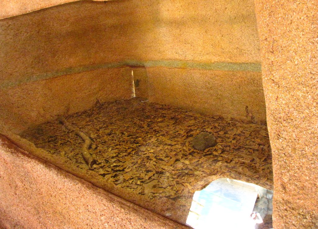 Wombats Enclosure - Aust Zoo Feb 09