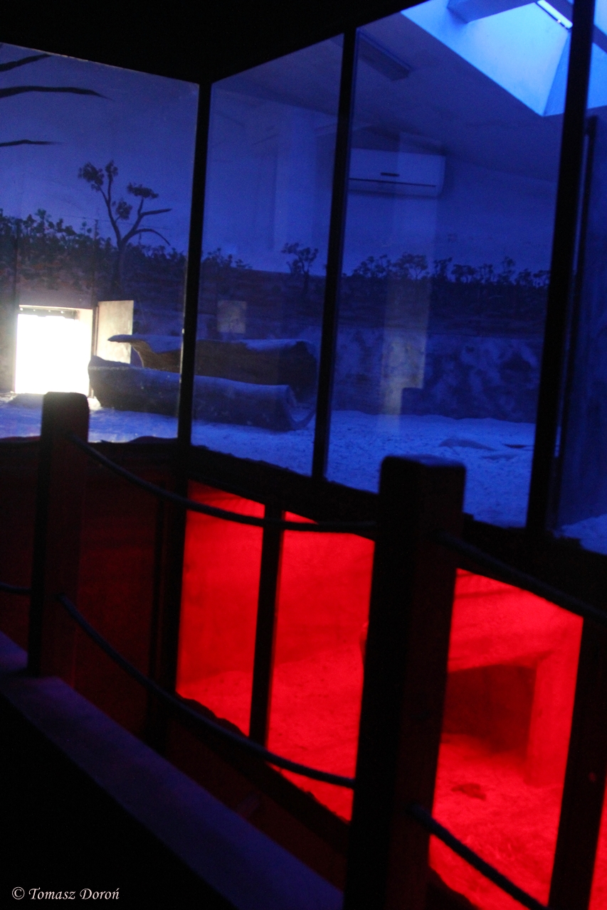 Wombats House inside