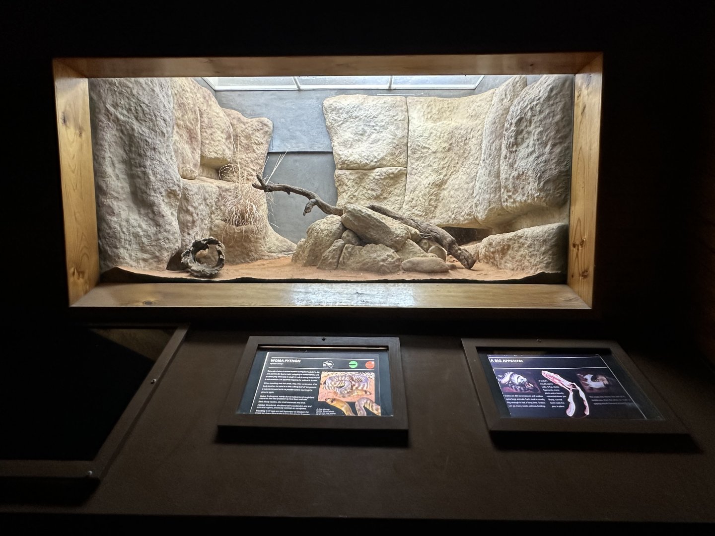 Womma python exhibit