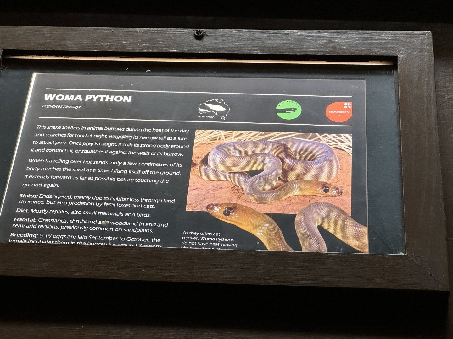 Womma python signage