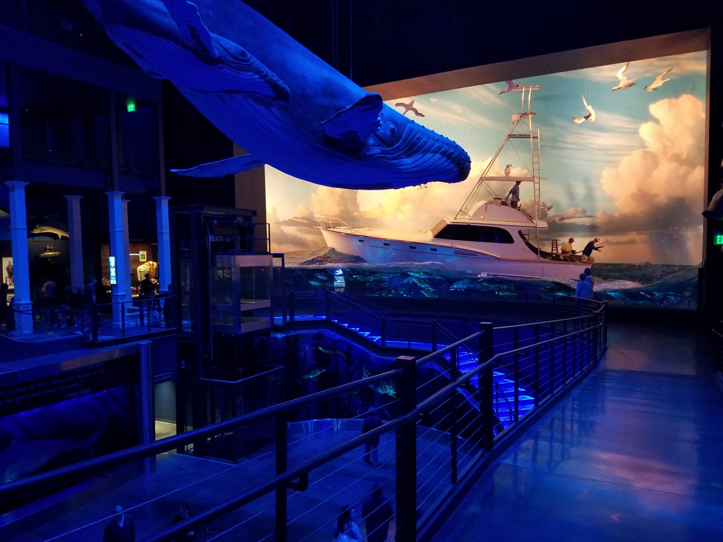 Wonder of Wildlife Museum and Aquarium