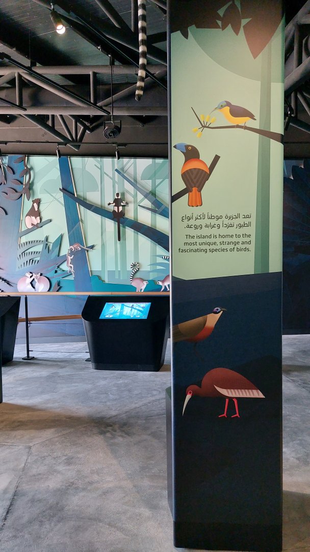 Wonderful graphics for education