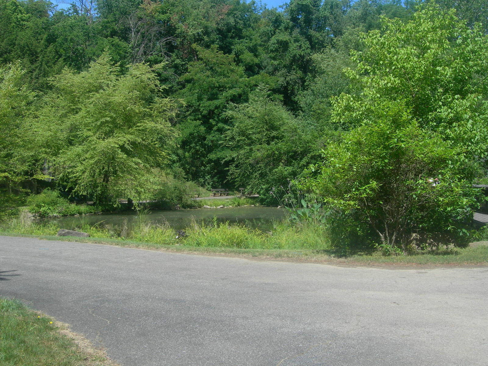 Wonders of the Wetlands exhibit