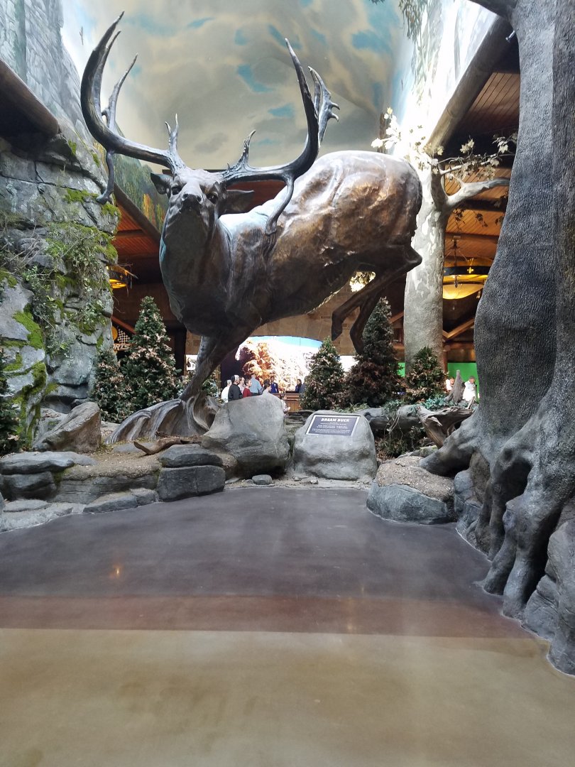 Wonders of Wildlife Museum and Aquarium Entrance