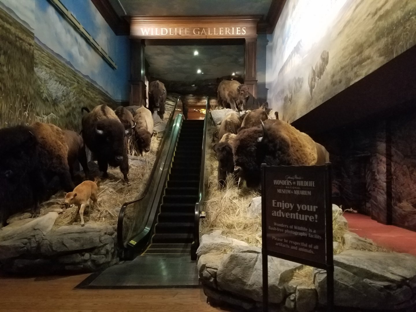 Wonders of Wildlife Museum and Aquarium Entrance