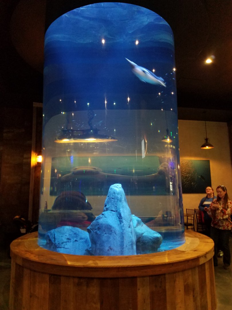 Wonders of Wildlife Museum and Aquarium