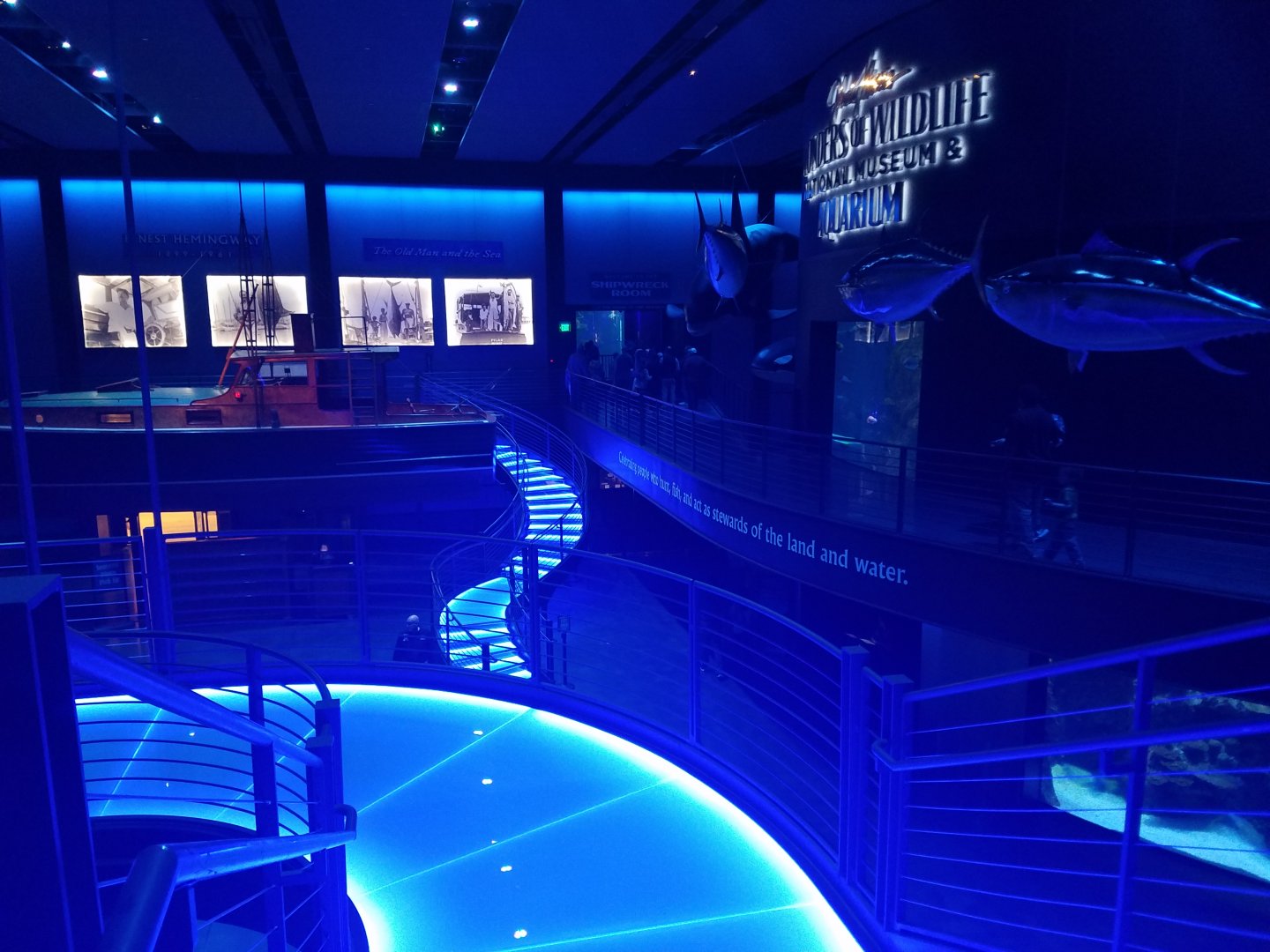 Wonders of Wildlife Museum and Aquarium