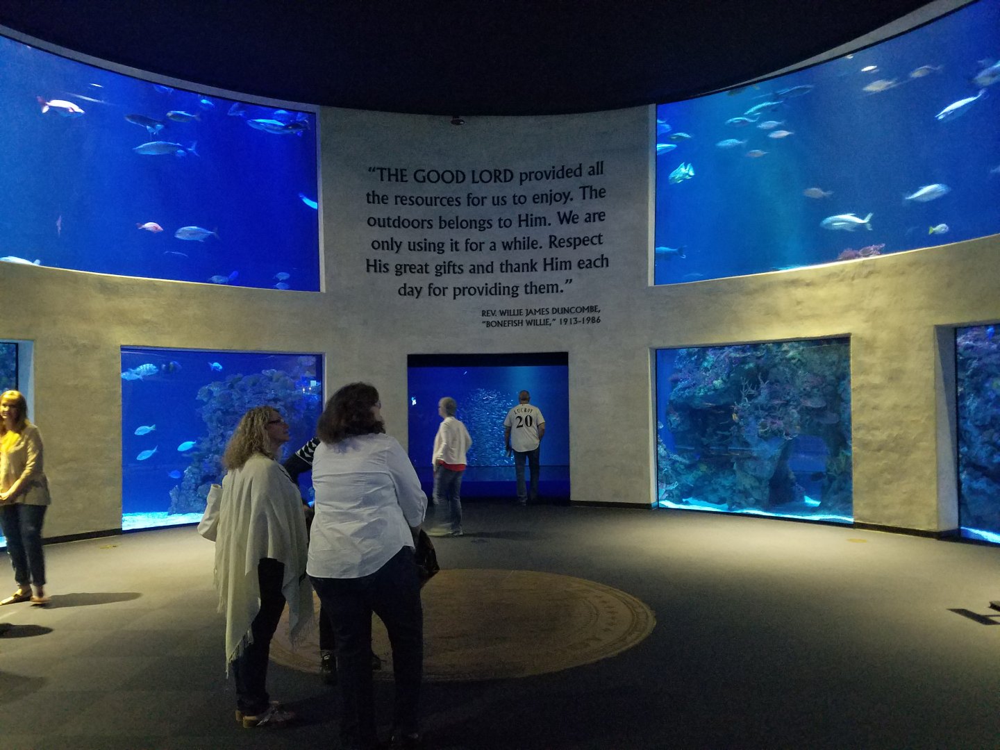 Wonders of Wildlife Museum and Aquarium
