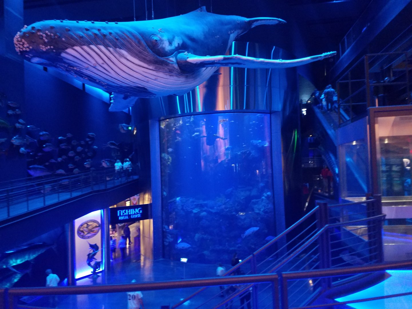 Wonders of Wildlife Museum and Aquarium