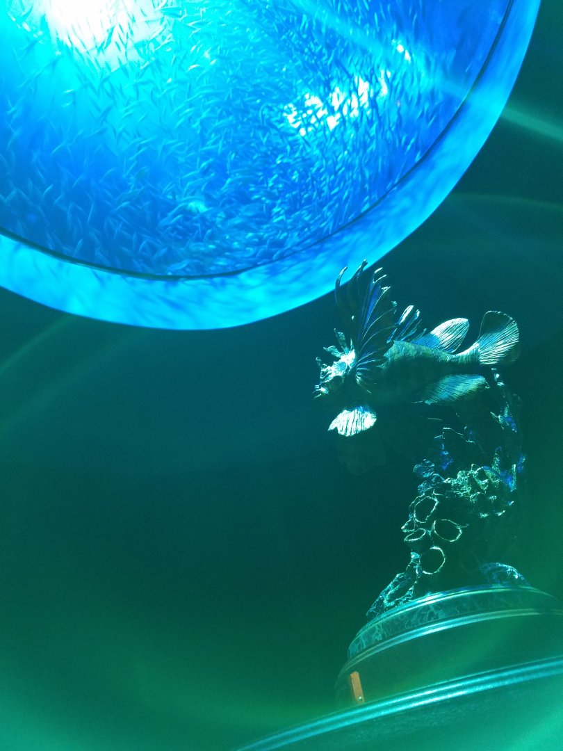 Wonders of Wildlife Museum and Aquarium