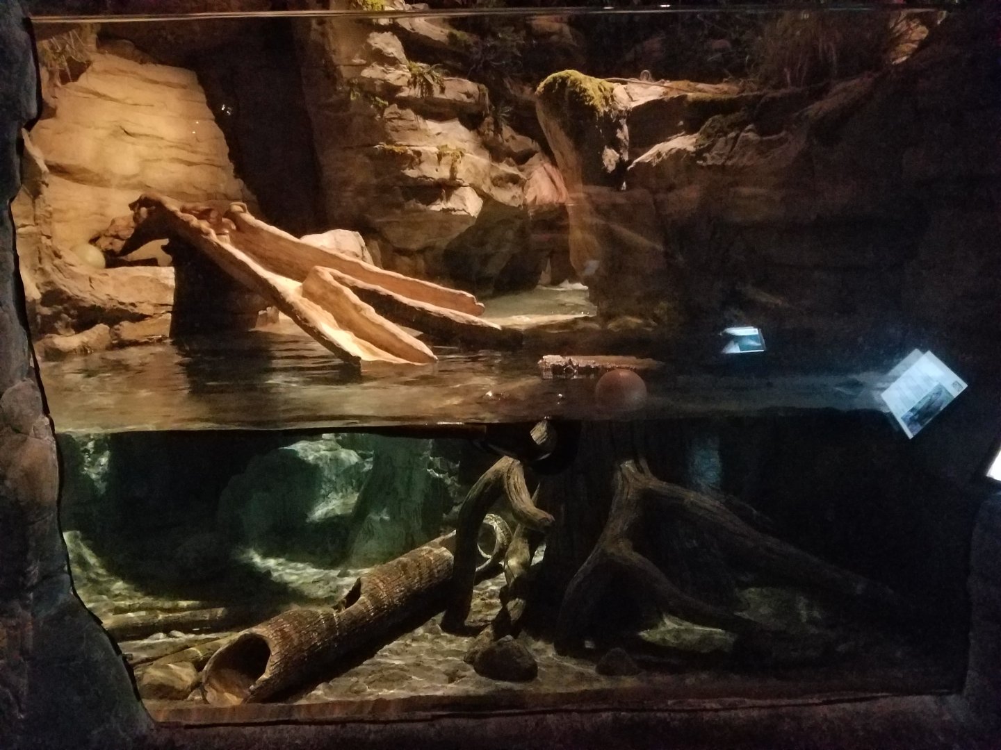 Wonders of Wildlife Museum and Aquarium