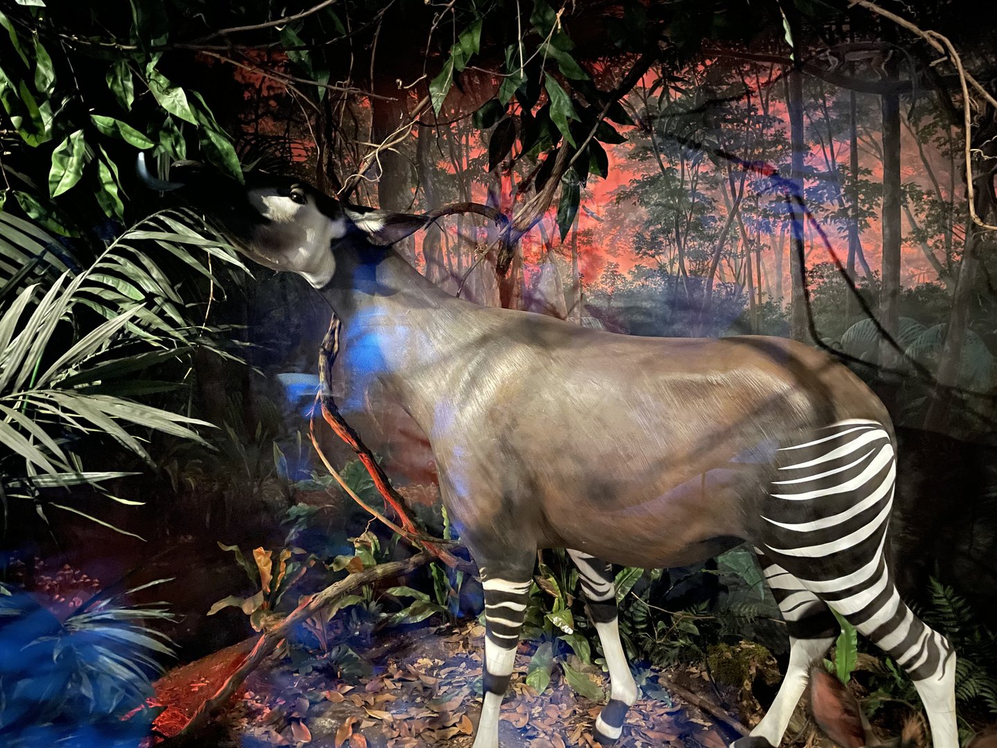 Wonders of Wildlife--- Okapi Model