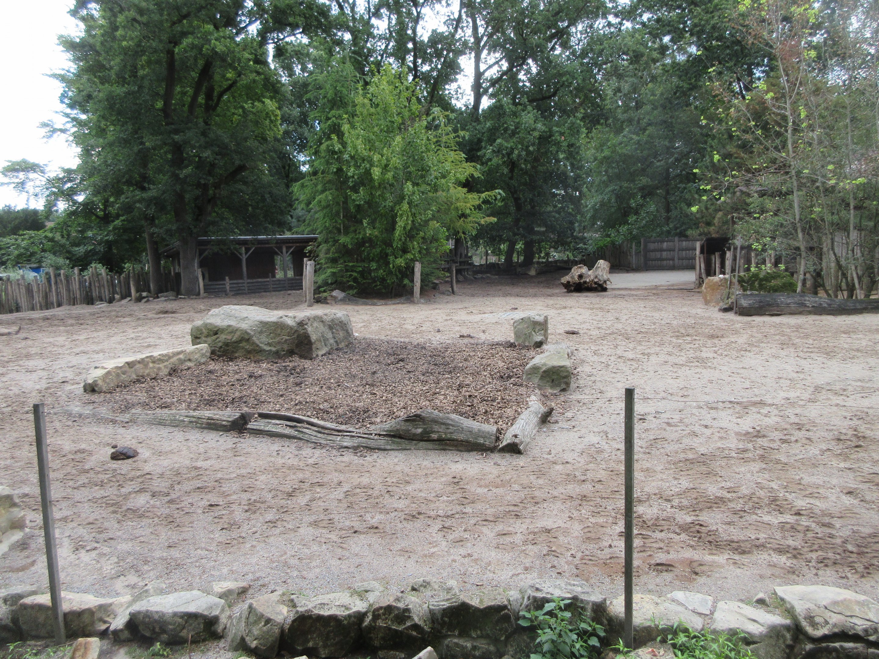 Wood Bison/Collared Peccary Exhibit