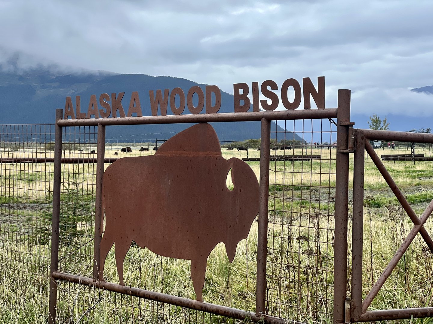Wood Bison Pastures