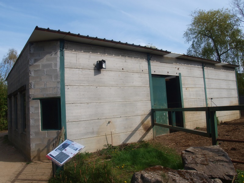 Wood bison stable (April 19th, 2015)