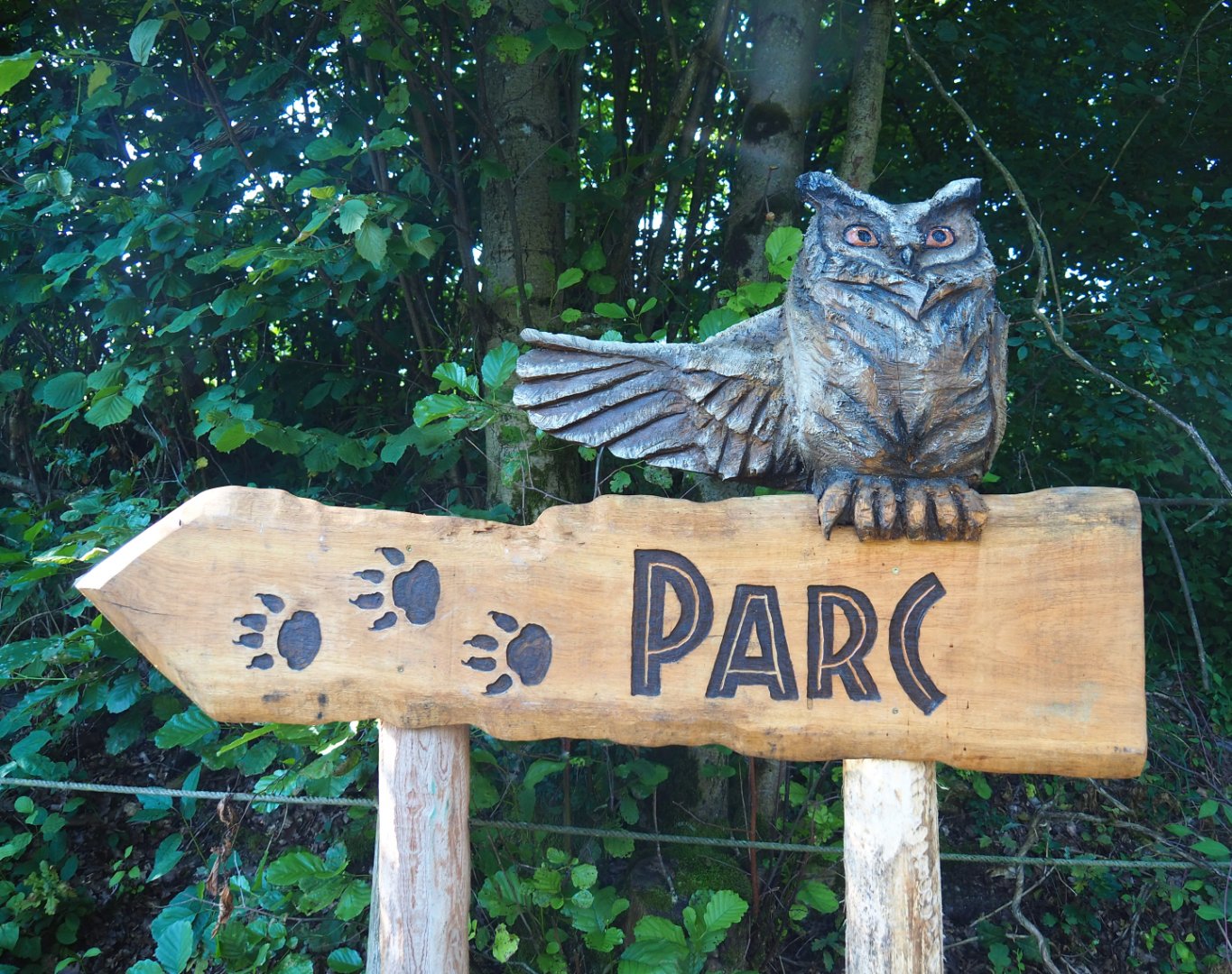 Wood-carved wildlife park road sign, 2021-08-15