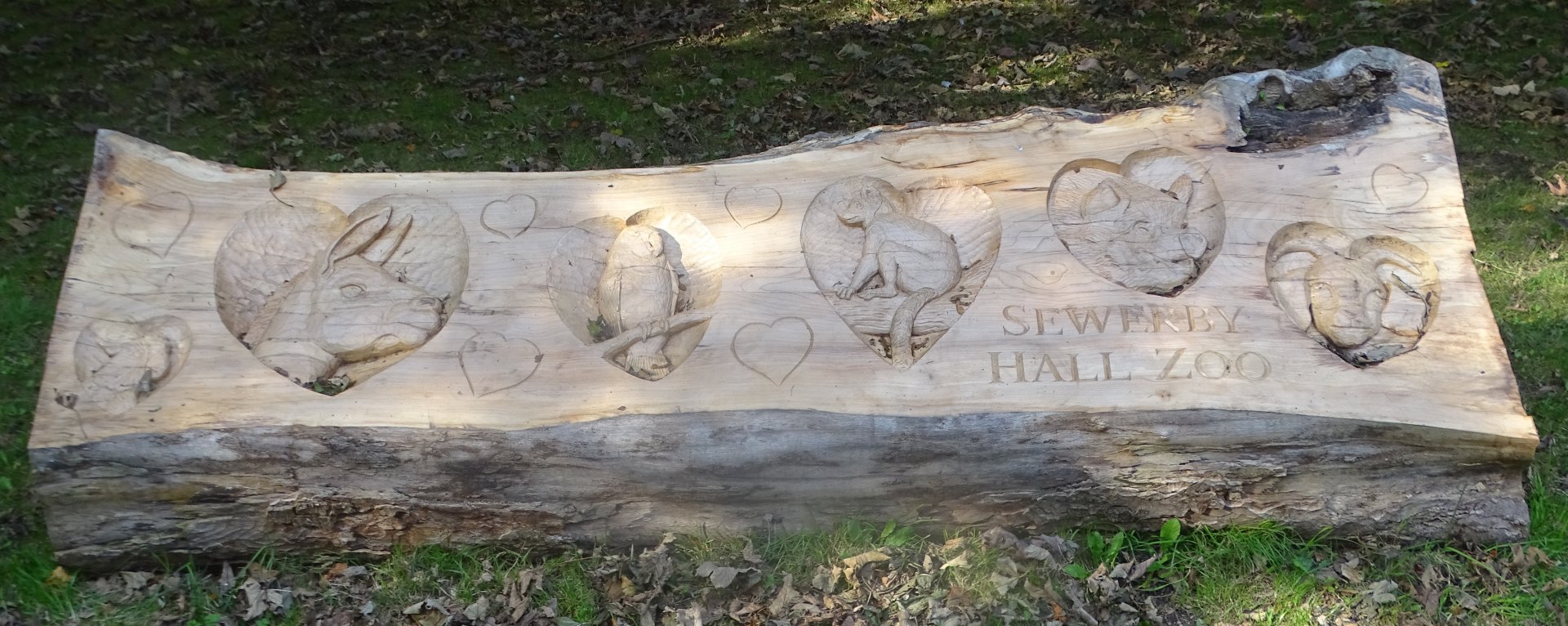 Wood carving, 5th October 2024