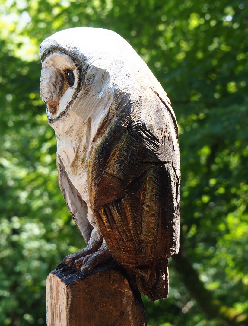 Wood carving barn owl on terrace of Le Tivoli restaurant, 2020-07-12
