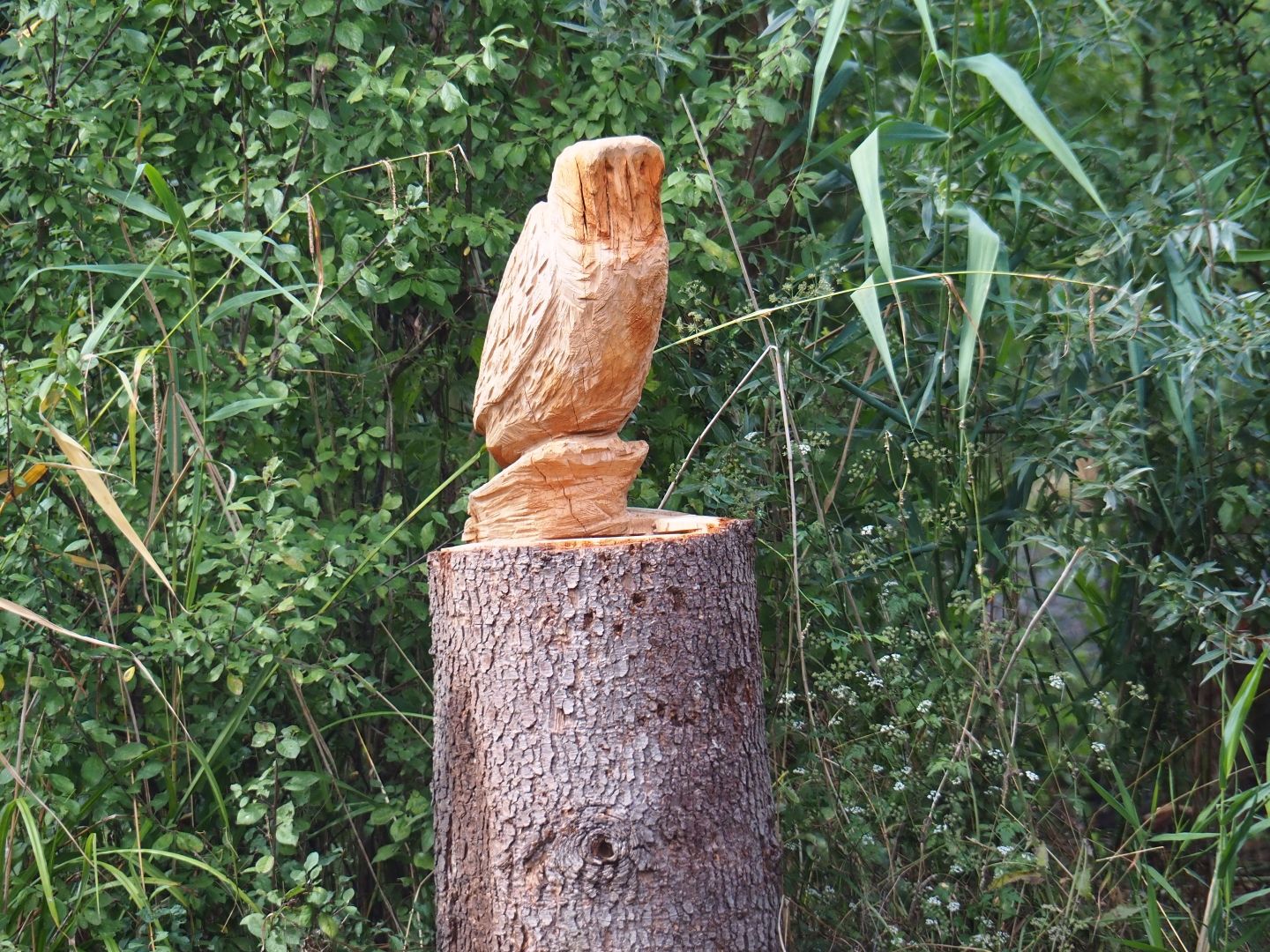 Wood carving of an owl