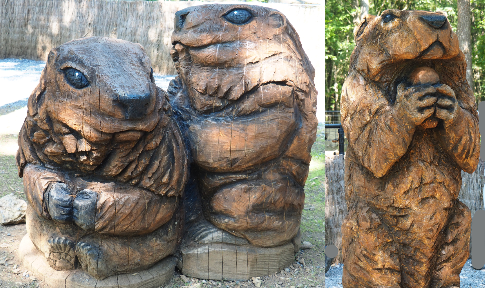 Wood carvings Alpine marmots, 2020-07-12