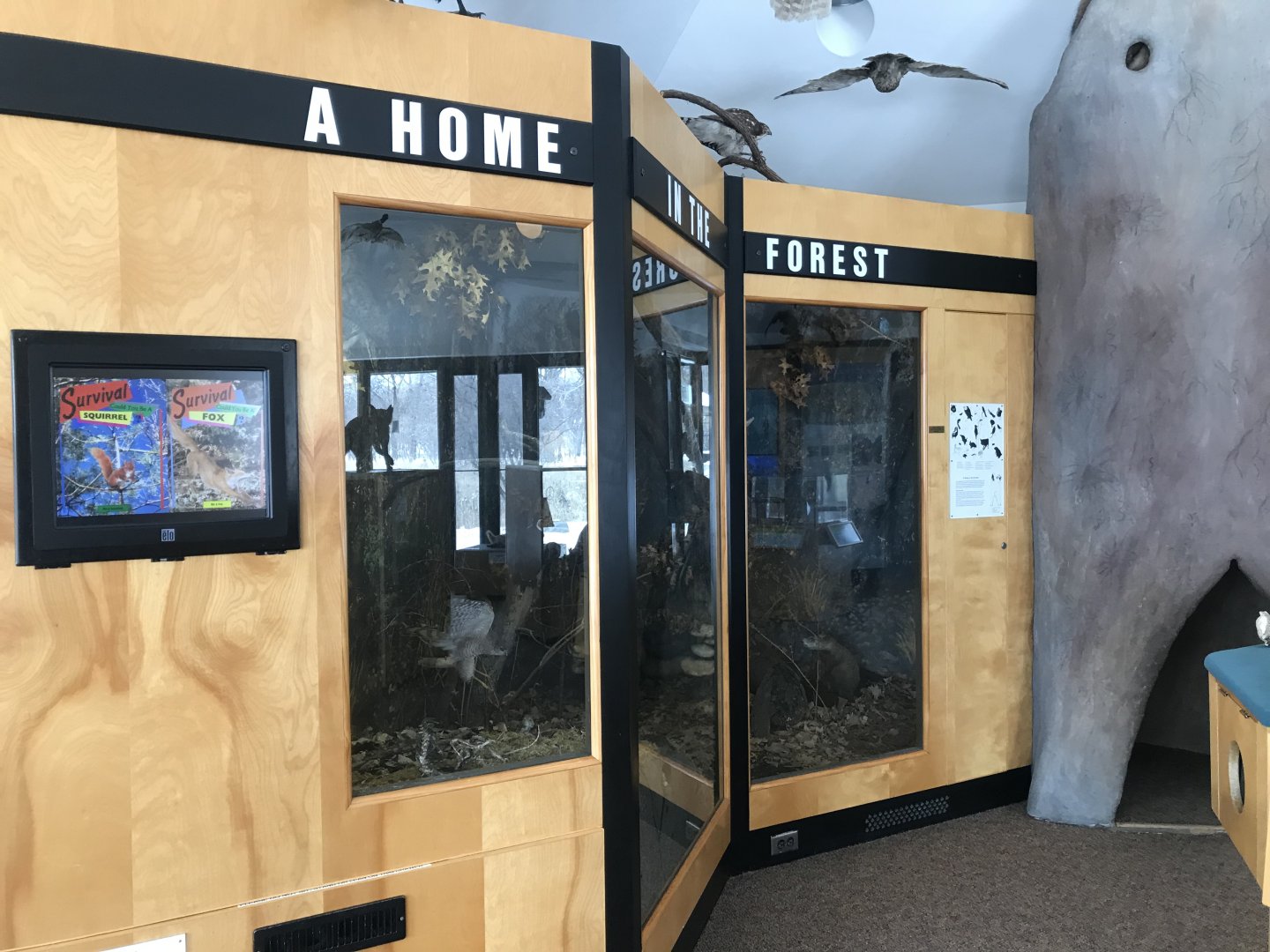 Wood Lake Nature Center - A Home in the Forest Display