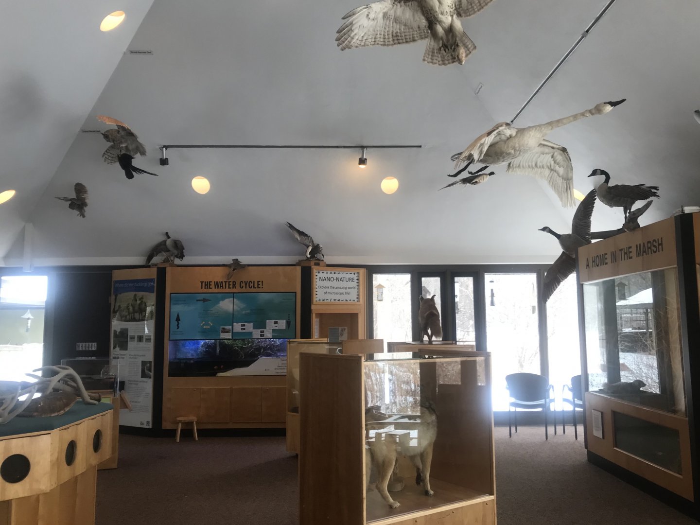 Wood Lake Nature Center - Overview