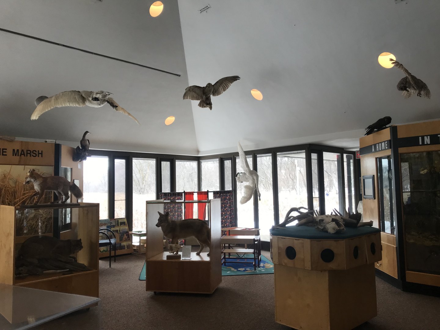 Wood Lake Nature Center - Overview