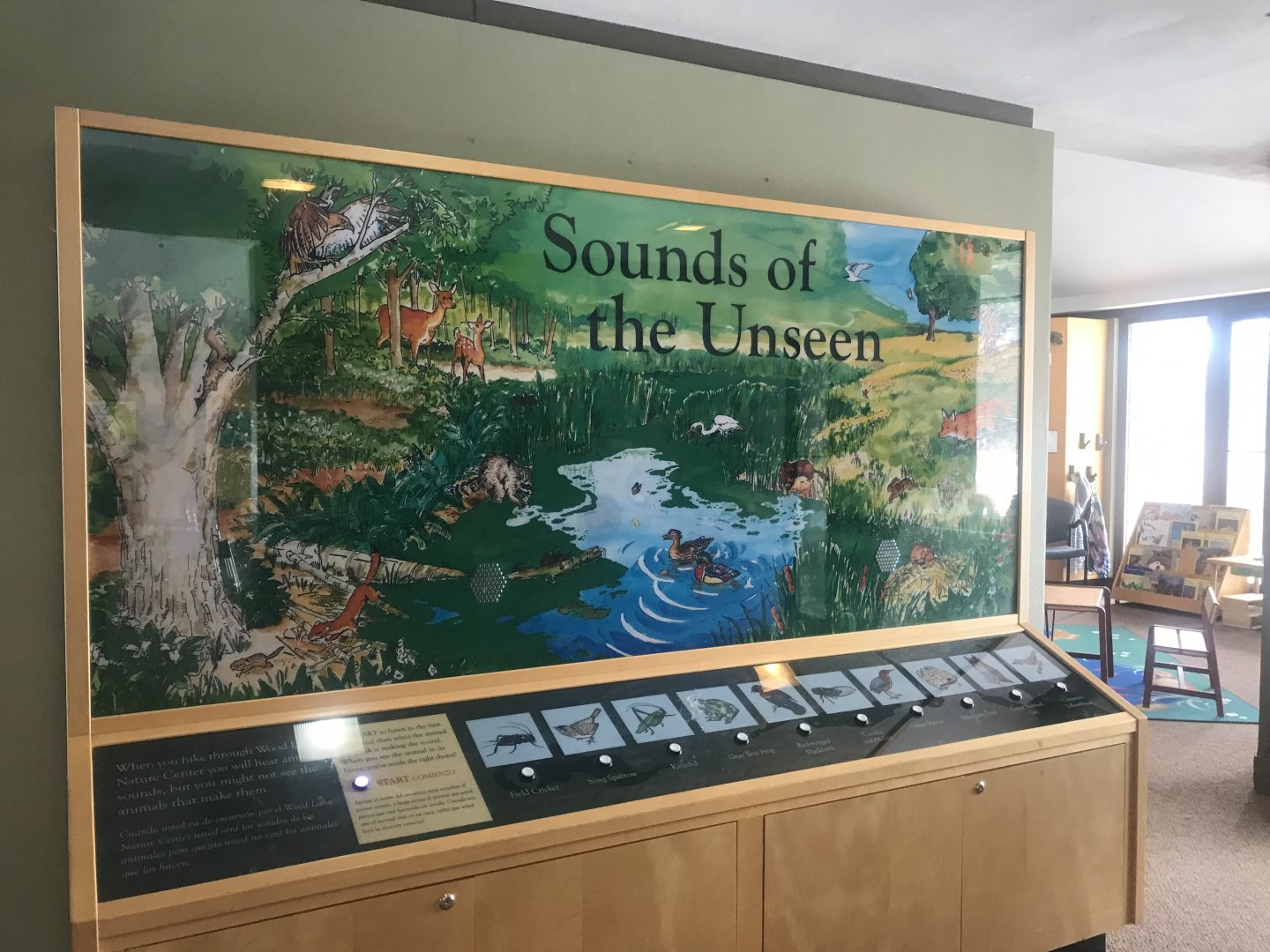 Wood Lake Nature Center - Sounds if the Unseen Display
