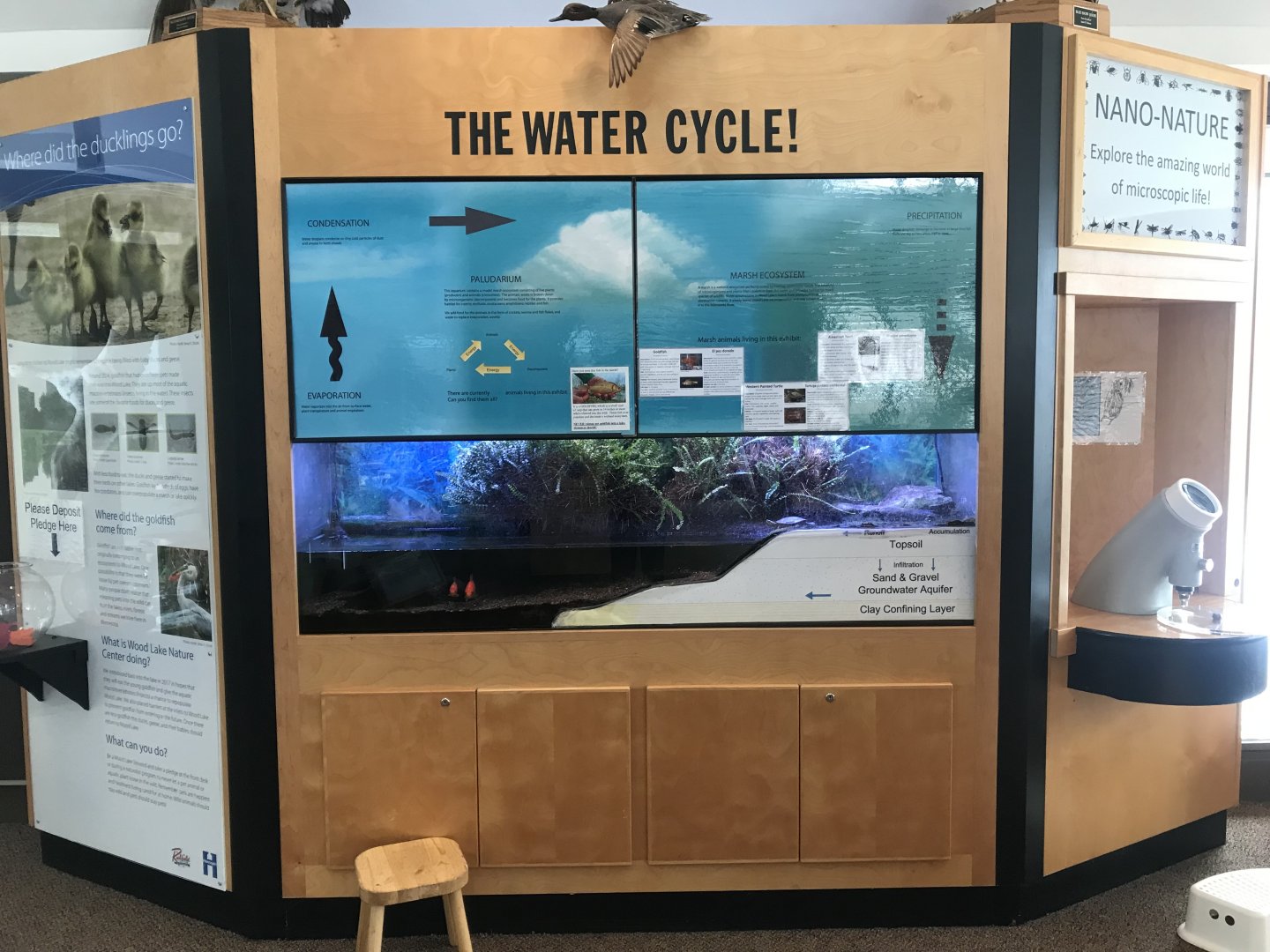 Wood Lake Nature Center - The Water Cycle Tank
